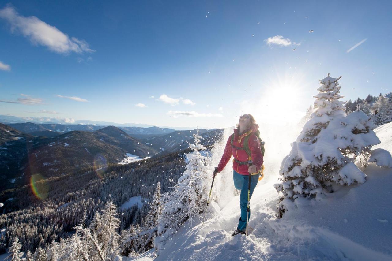 Urlaub Am Bauernhof Gaenser Sankt Peter am Kammersberg Kültér fotó